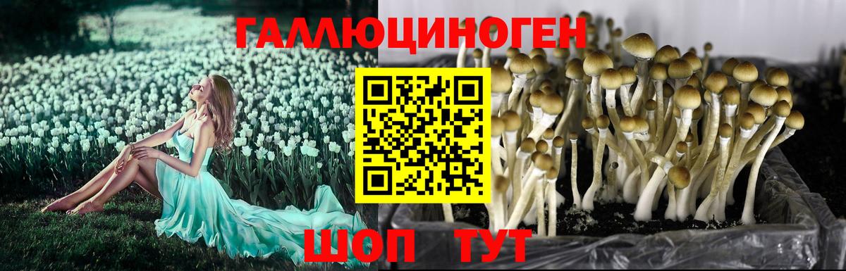Десногорск  Псилоцибиновые грибы ЛСД  Вход с VPN 