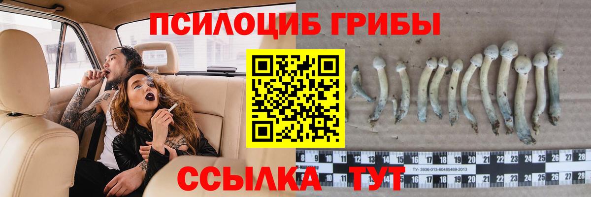 Галлюциногенные грибы мицелий Десногорск